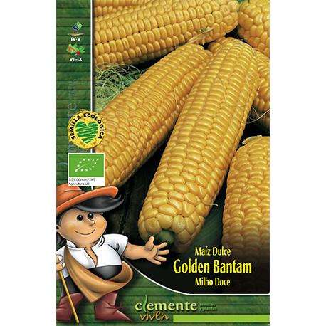 Semillas de Maíz Dulce Golden Bantam Clemente