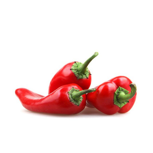 Plantón De Pimiento Piquillo En Maceta 11 Cm