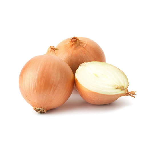 Plantón de Cebolla Blanca 6 uds. Gama Tradicional
