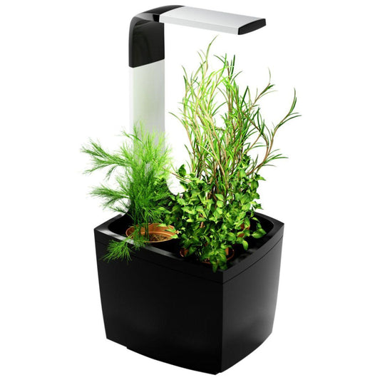 Maceta autocultivo T3 Kitchen Garden 20 x 17,5 cm