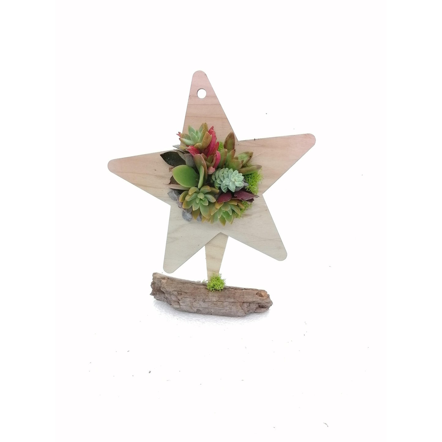 Composición de crasas Estrella Navidad