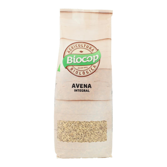 Avena BIO Biocop 500g