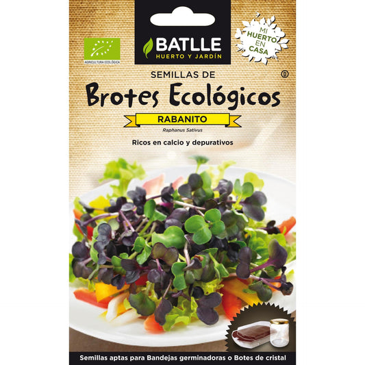 Semillas de Rabanito Sango ecológicas para germinados Batlle