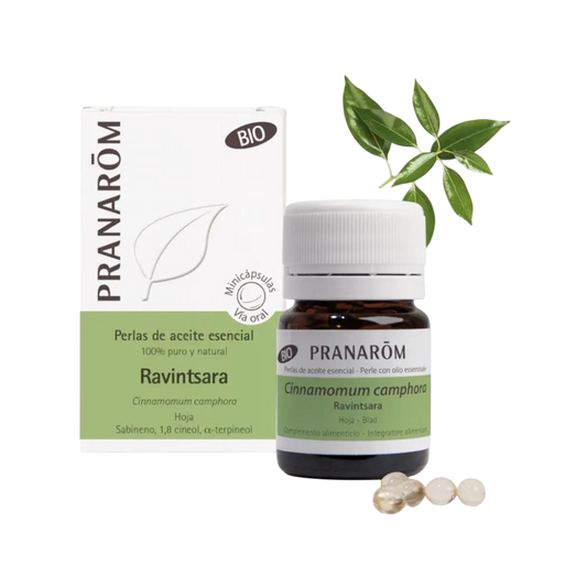 Ravintsara Hoja Bio Pranarom 60 Minicapsulas