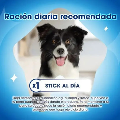 Dentalife Mini Snack dental para perros 70 g