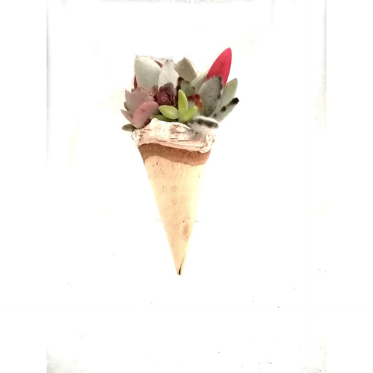 Composición de crasas Imán