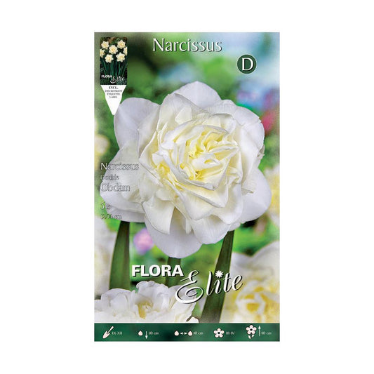 Bulbos Narciso doble blanco Elite 5 uds
