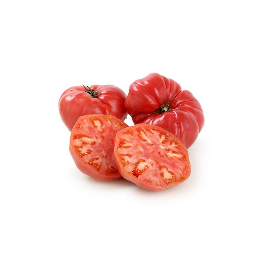 Plantón de Tomate Rosa 6 uds. Gama Tradicional
