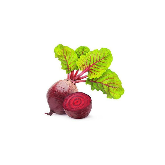 Plantón de Remolacha Dulce 6 uds. Gama Tradicional