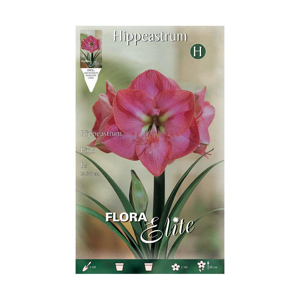 Bublo Amarillis rosa 1 ud