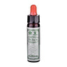 Bach Wild Rose-Rosa Silvestre 10Ml Santiveri