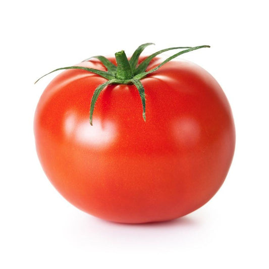 Plantón de Tomate Entutorar Tradicional 6 uds. Gama Tradicional