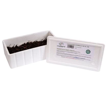 Lombrices rojas californianas para vermicompost Multihuerto