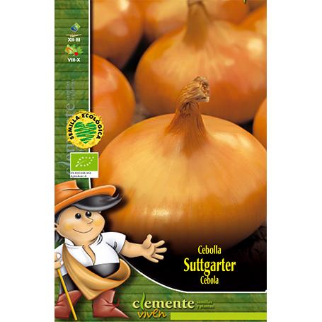 Semillas de Cebolla Amarilla stuttgarter Clemente