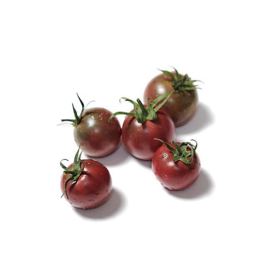 Plantón de Tomate cherry negro en maceta 11 cm