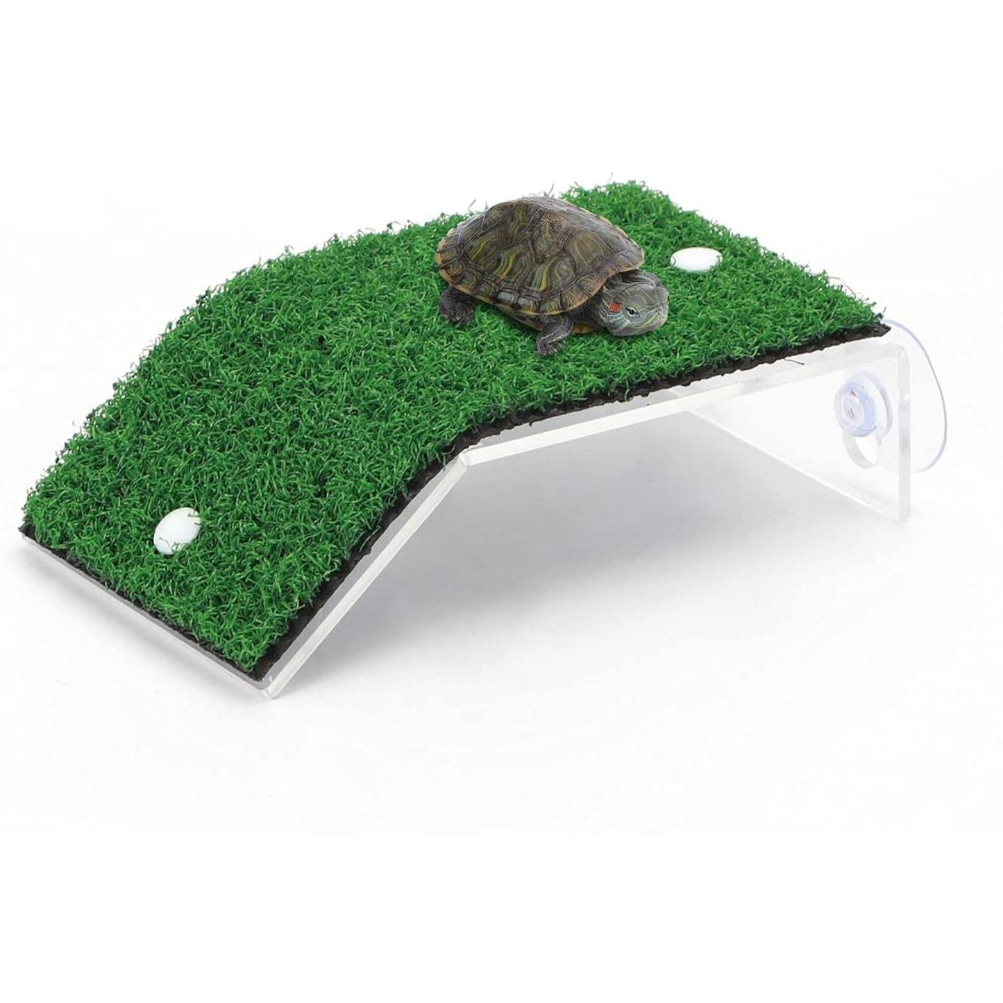Escaleras para tortugas L8*W14cm Verde Nobleza