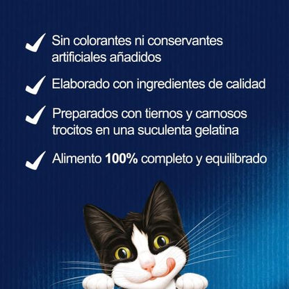 FELIX Fantastic Junior Gelatina 4 x 85 g