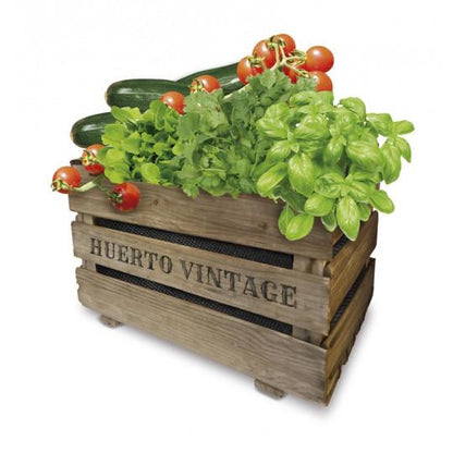 Kit Huerto Vintage Eco Batlle