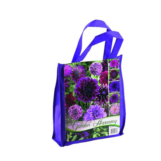 Mix de Bulbos de Primavera Lila 5 uds