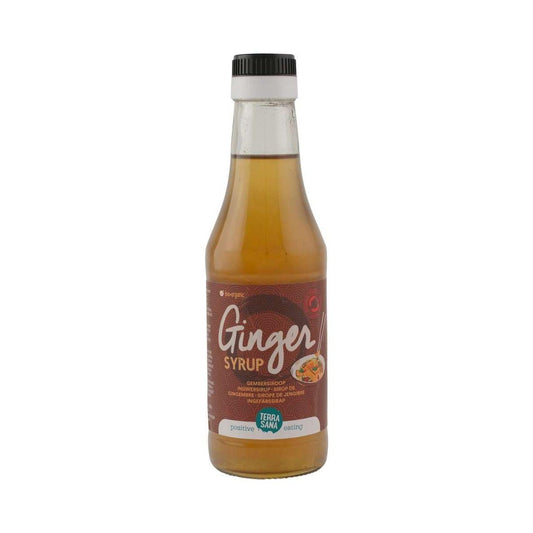 Sirope de Jengibre Bio Terrasana 250 ml