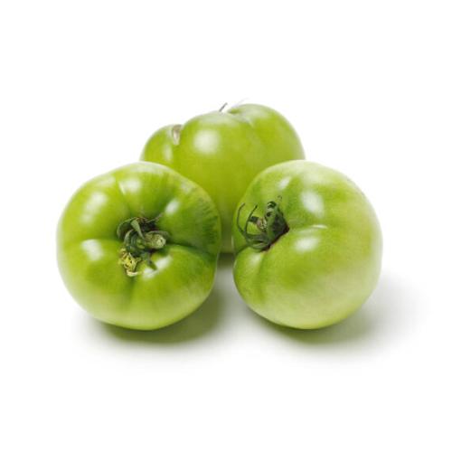 Plantón de Tomate Caña Verde Grande 6 uds. Gama Tradicional