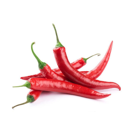 Plantón de Guindilla Larga Roja 6 uds. Gama Tradicional