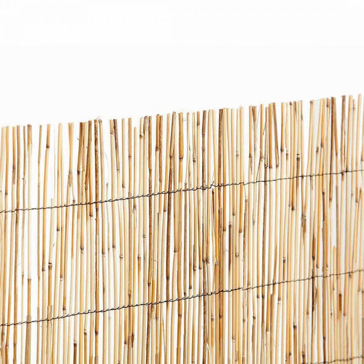 Cañizo bambú fino pelado Reedcane Nortene 1x5