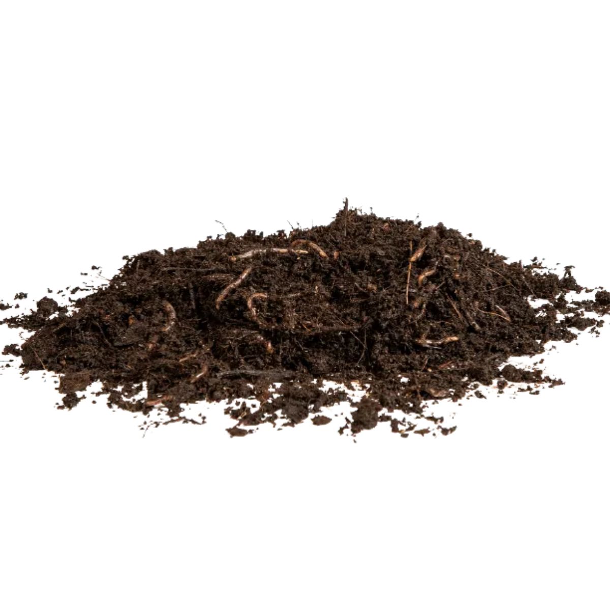Lombrices rojas californianas para vermicompost Multihuerto