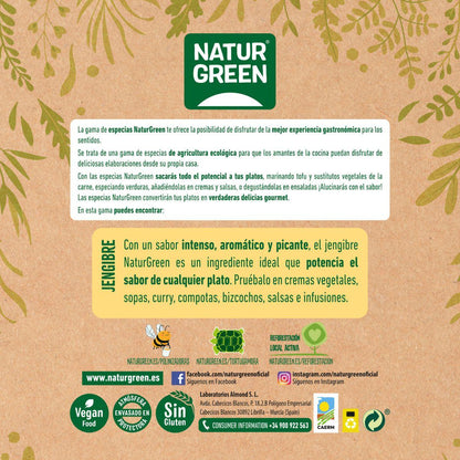 Jengibre Molido Bio NaturGreen 100 g