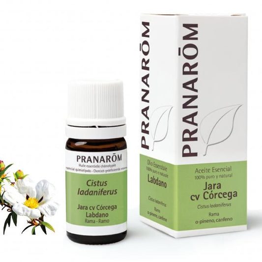 Aceite esencial Jara Cv Corcega Rama Pranarom 5 ml