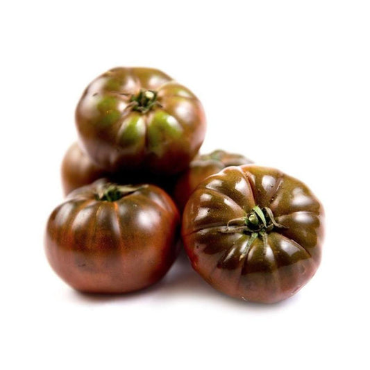 Plantón de Tomate kumato en maceta 11 cm