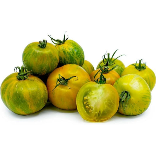 Plantón de Tomate Cebra 6 uds. Gama Tradicional