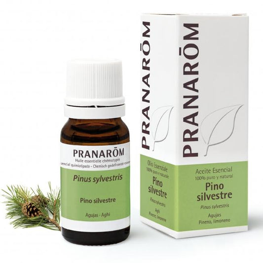 Aceite Esencial Pino Silvestre 10 ml Pranarom