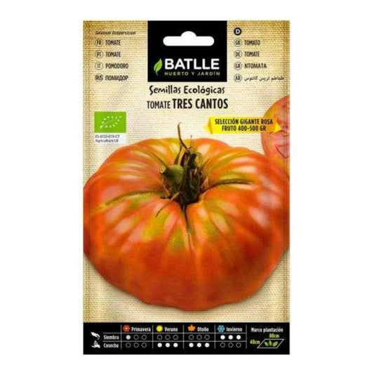 Semillas de Tomate tres Cantos gigante rosa ecológicas Batlle