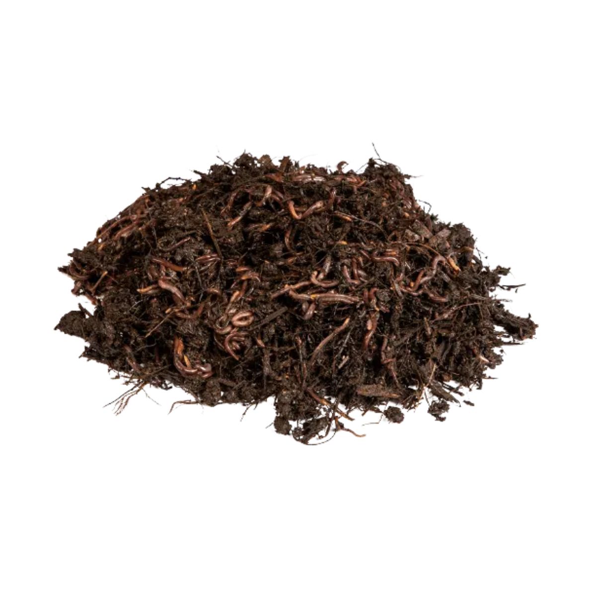 Lombrices rojas californianas para vermicompost Multihuerto